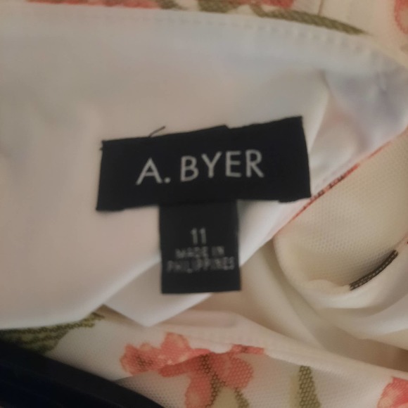 NWT A. Byers scalloped top peachy pink mesh lace waist knee length dress 11 - Picture 6 of 11